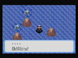 Oh! A bite!