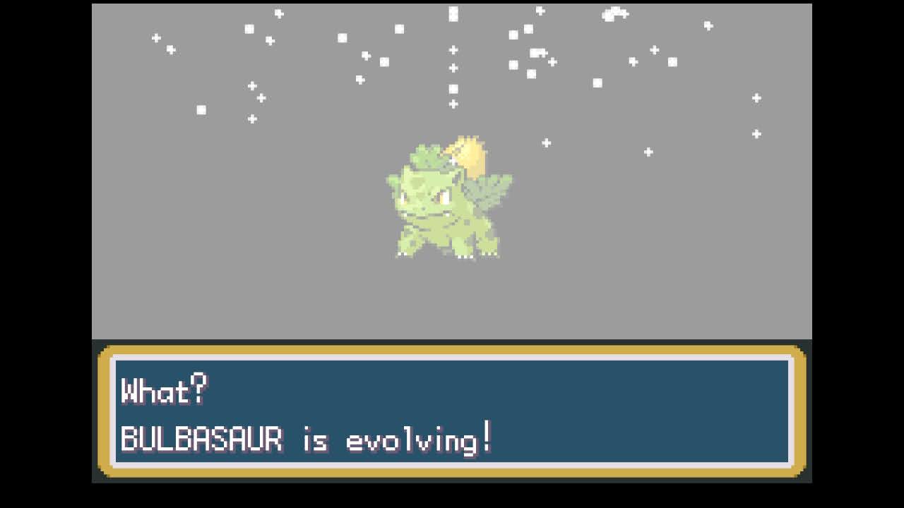 Bulbasaur (the Seed Pokémon)
