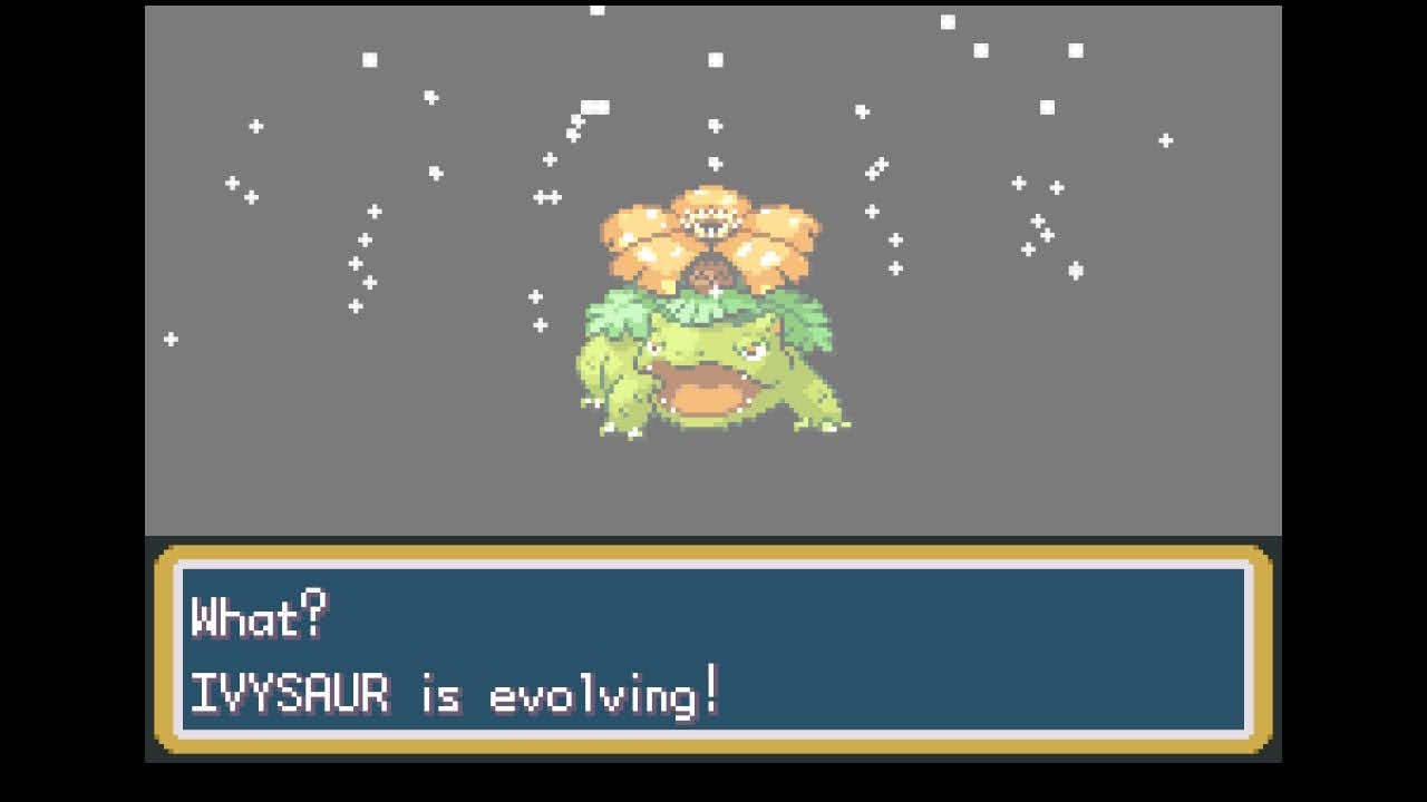 Bulbasaur (the Seed Pokémon)