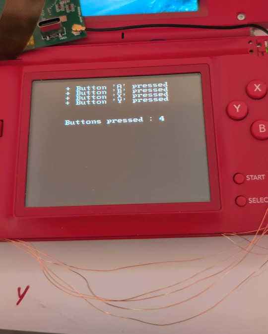 Input Testing